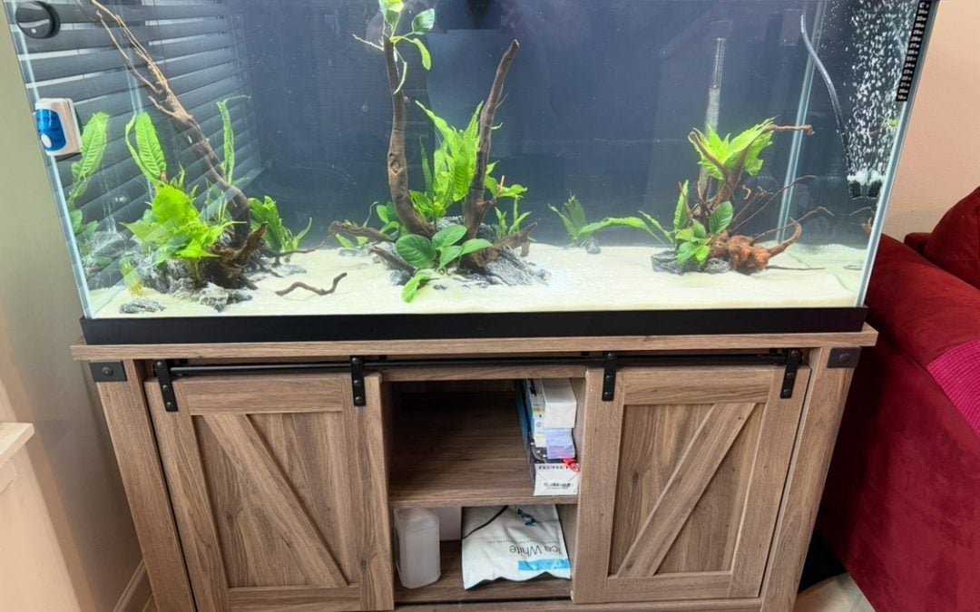 New tank
